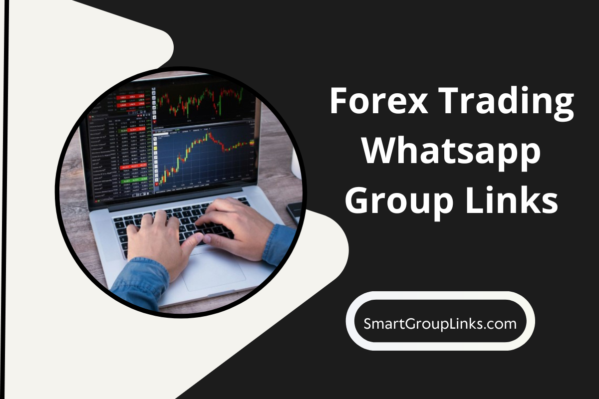 130+ Forex Trading Whatsapp Group Links